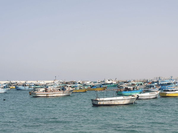2nd Day: Travel to Alexandria