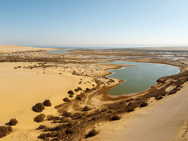 Fayoum Oasis tour from Cairo Wadi El Hitan Wadi El Rayan Mudawara Mountain
