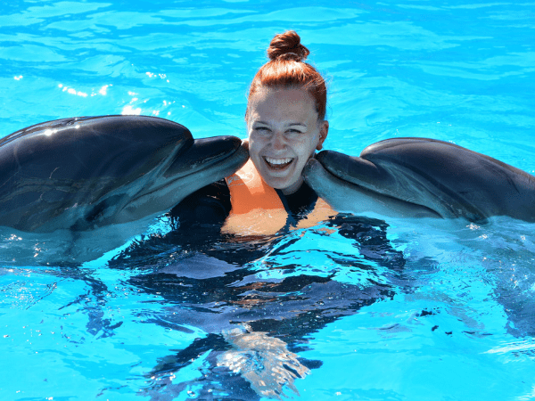 Swimming With Dolphins experience in Hurghada
