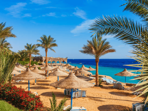 Red Sea Adventure Semi-Submersible Cruise and Sharm Bay Sail