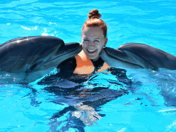 Enjoy The Dolphins Show