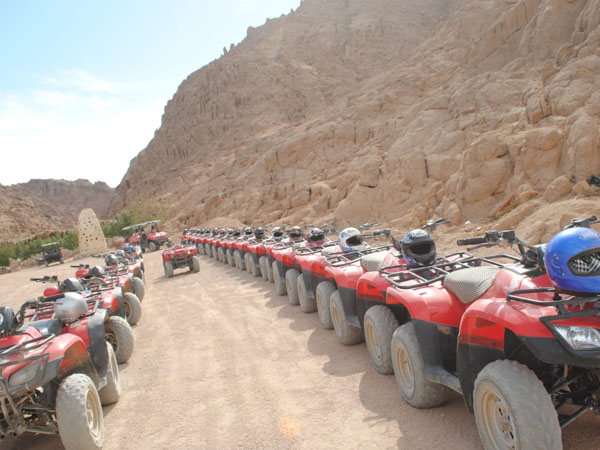Quad biking camel riding Oriental show and stargazing in Sharm El Sheikh