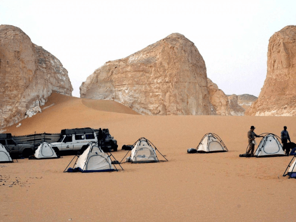 Camp and Dinne