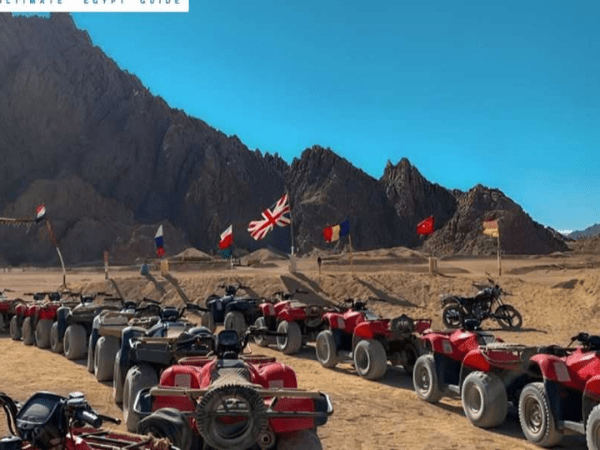 Quad Biking Safari
