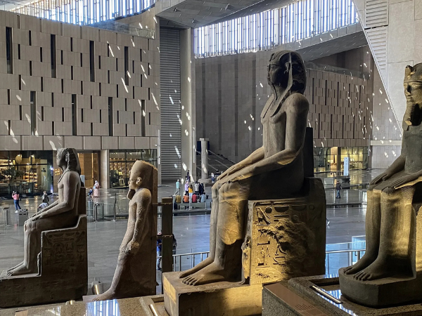 Visita GEM