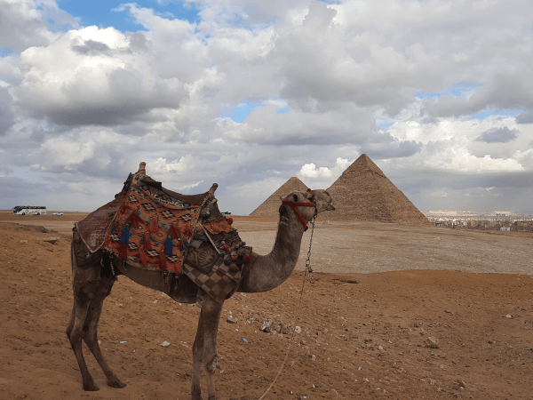 Pyramids of Giza tour
