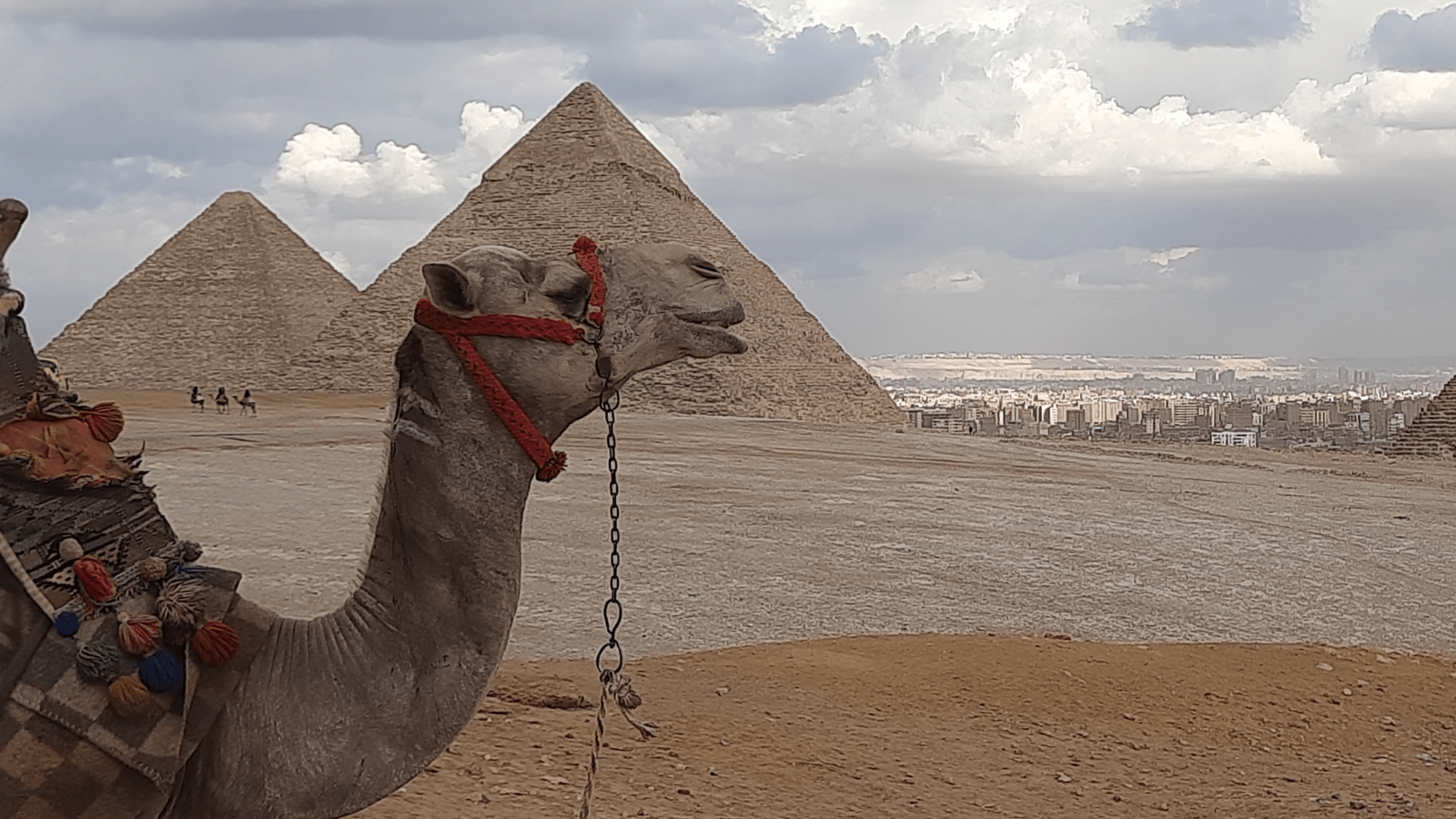 Pyramids of Giza Visit