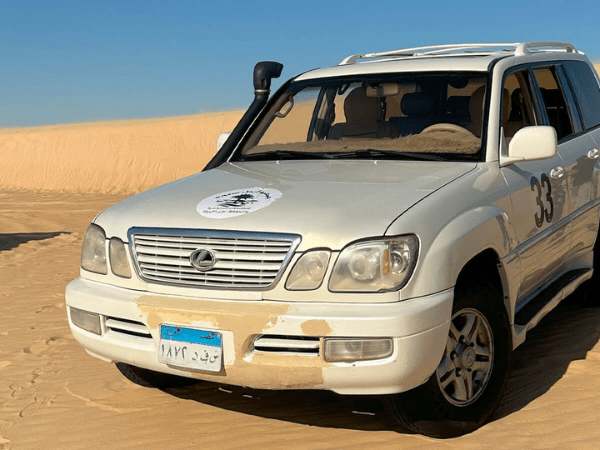 Safari By 4X4 Jeep