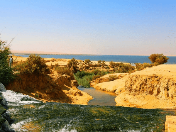 El-Fayoum Oasis (Optional Tour)