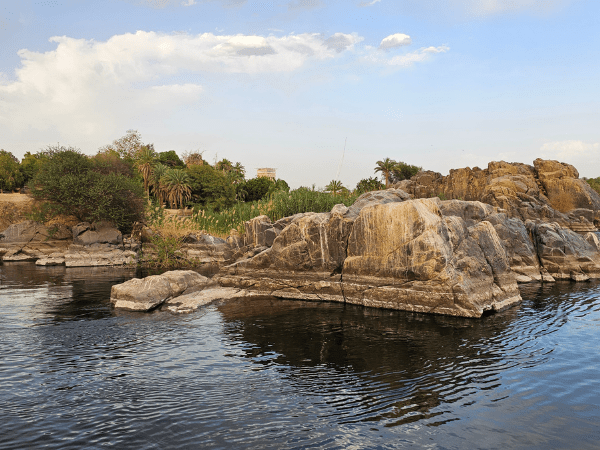Swimming In The Nile