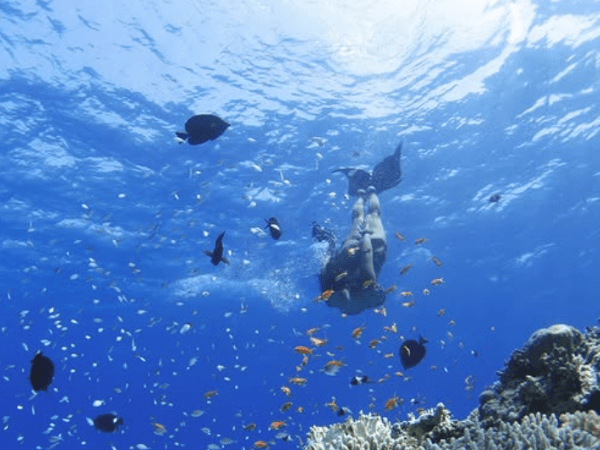 Snorkeling