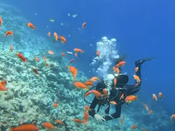 Snorkeling