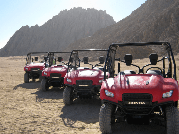 Safari in quad (tour facoltativo)