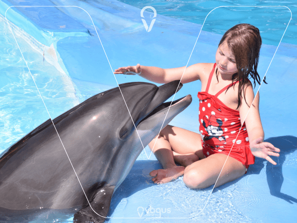 Swim with the Dolphins (Optional Tour)