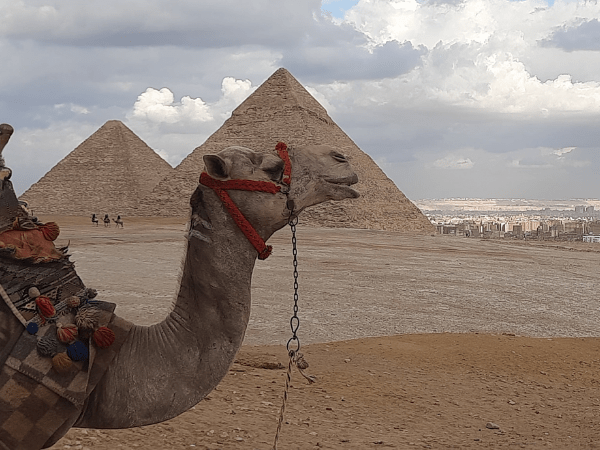 Visita delle piramidi di Giza