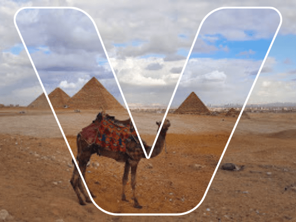 Camel Riding