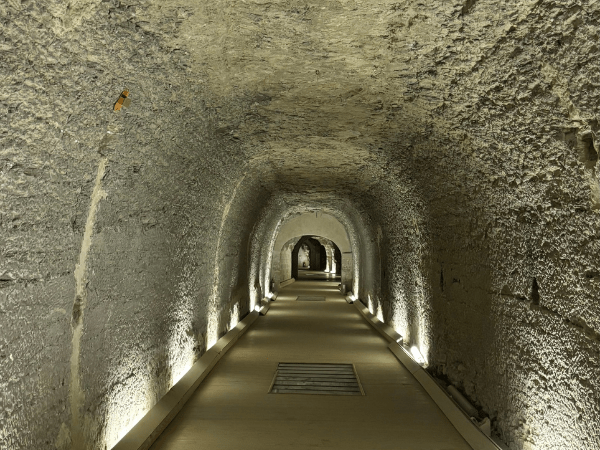 Visita al Serapeo di Saqqara